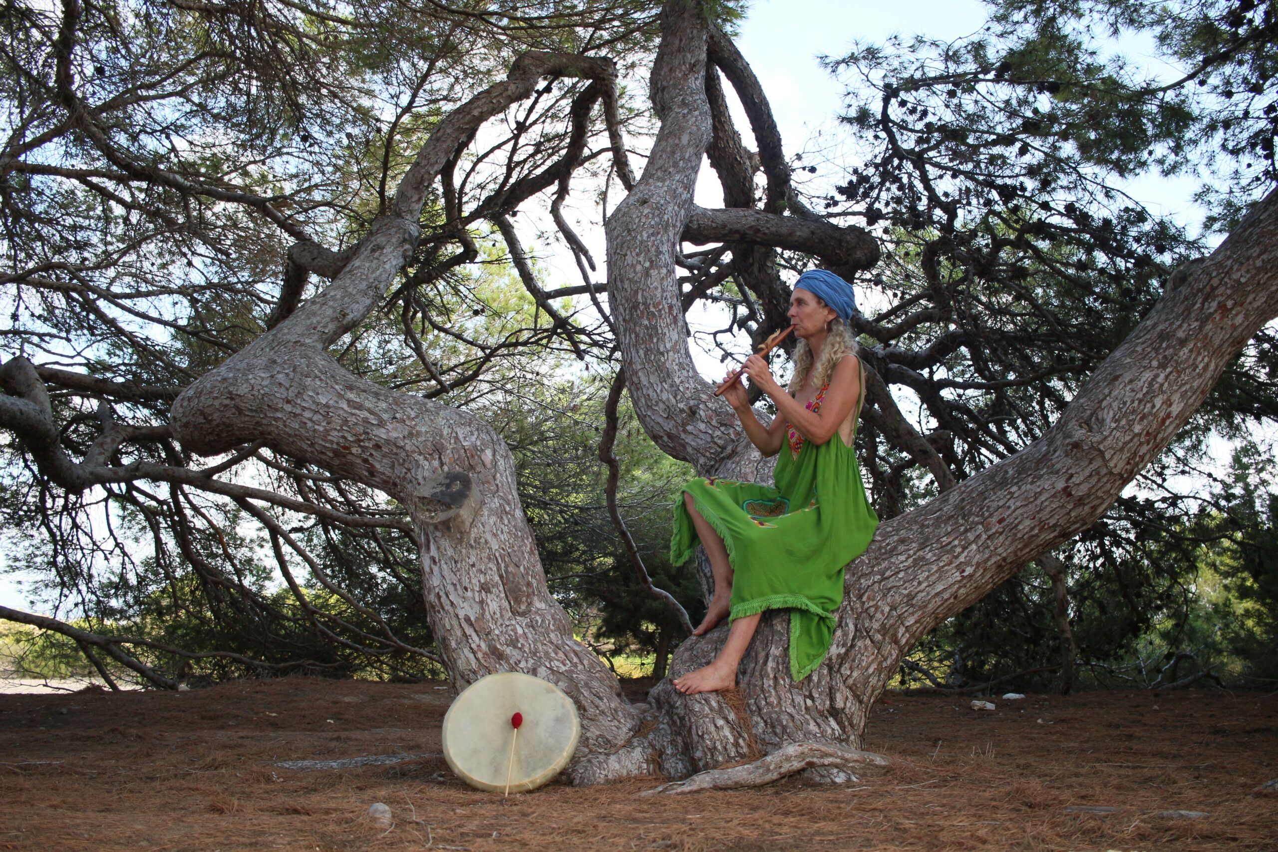 flauta arbol